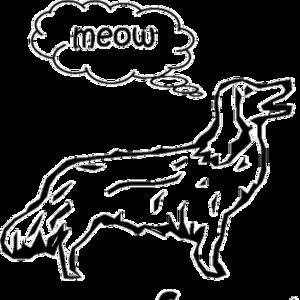 Meet your Posher, Bridget